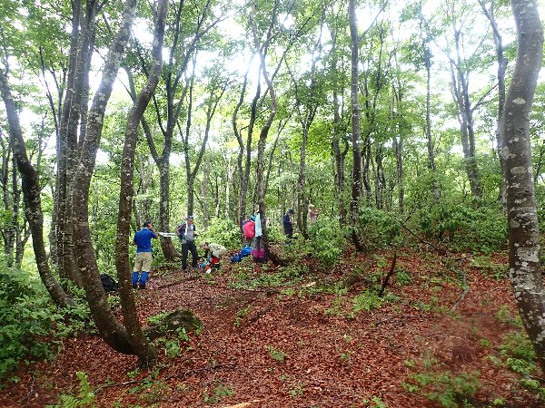 5.尾根三叉路で休憩