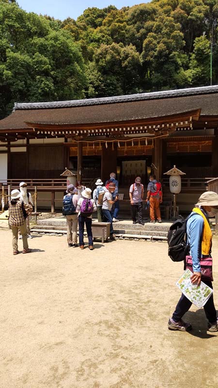 8.宇治上神社