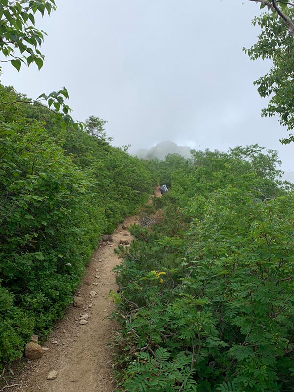 7.燕山荘は霧の中