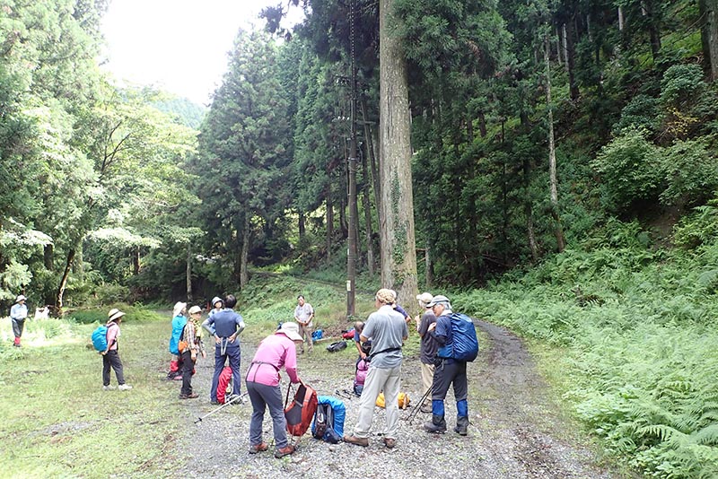 10.青空広がる下り道