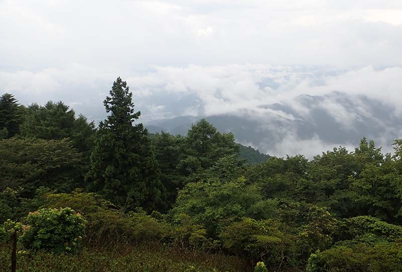 4.京都市内は雲の中