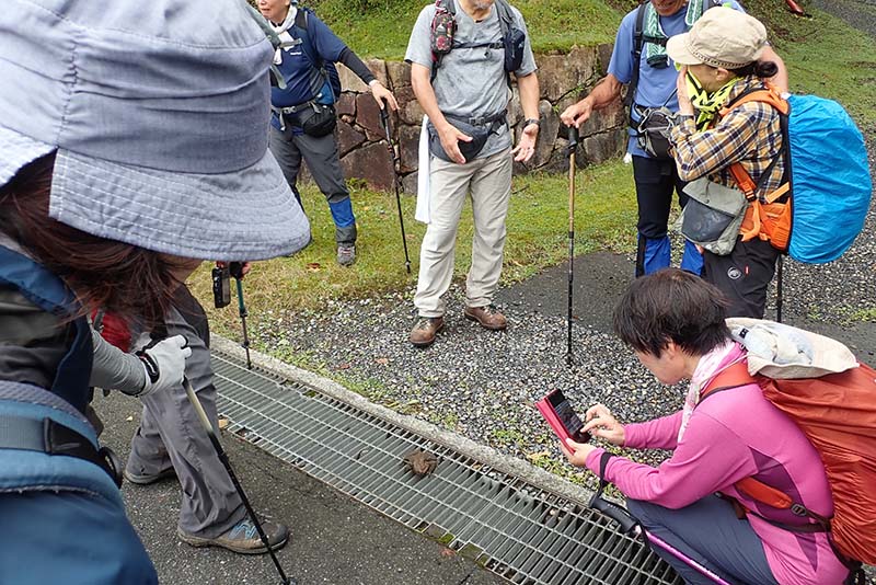 7.なんだ？なんだ？