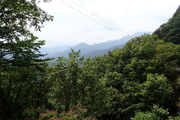 6.和佐又山から大普賢