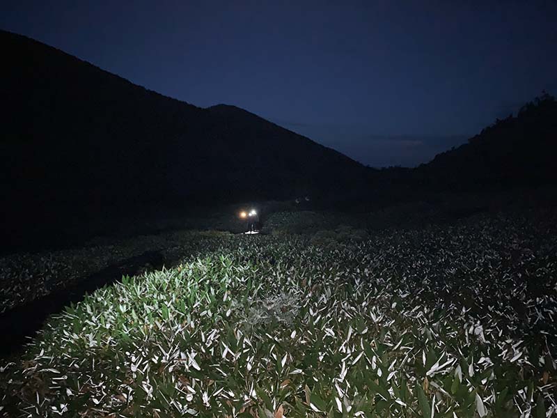 5.早朝、暗闇の中を出発