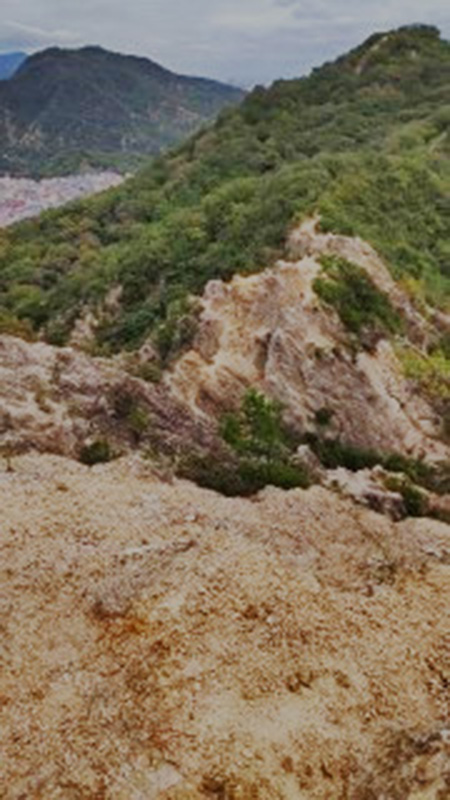 4.馬の背を見下ろす