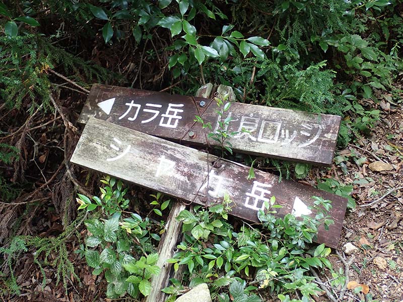 8.カラ岳・釈迦岳分岐