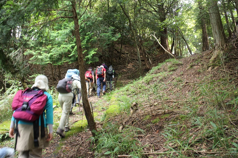 2.古い林道跡の道に入る