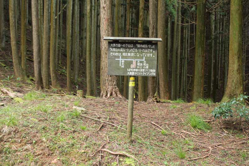 4.音無ノ滝への道は荒れている