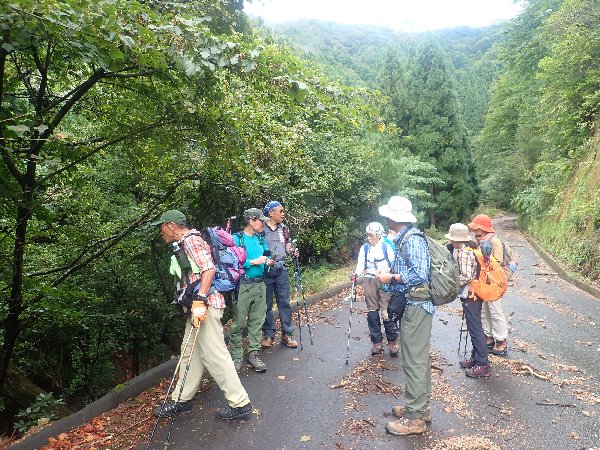 3.サルナシの味見