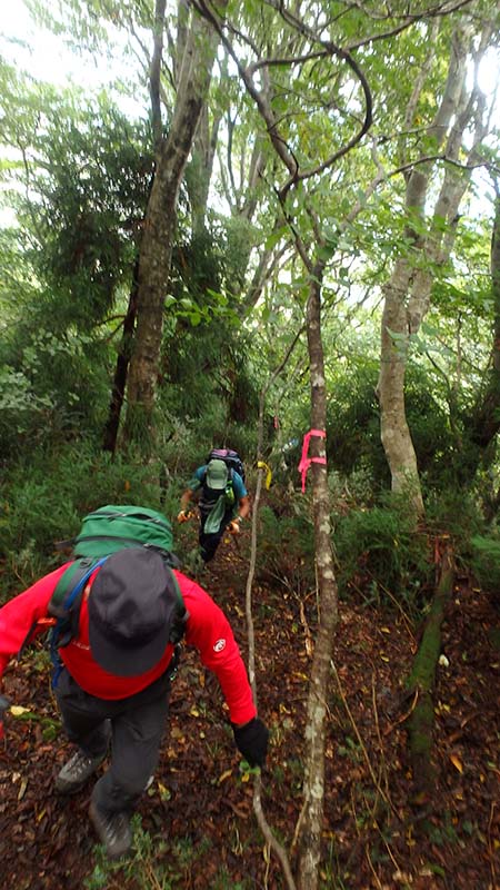 3.尾根の急登を登る