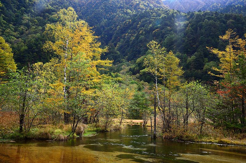 10.相変わらずの田代池