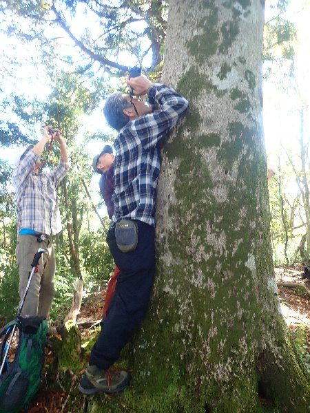 6.南岳、ブナの撮り方