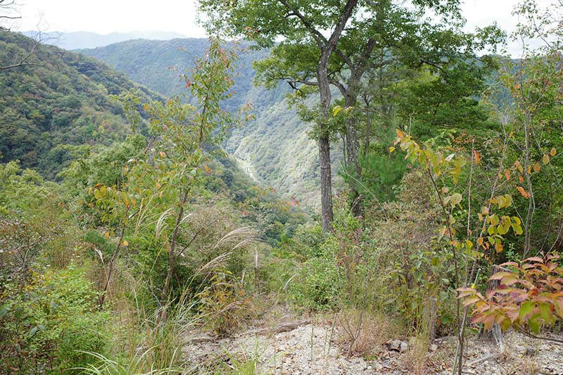 4.武庫川渓谷を見下ろす