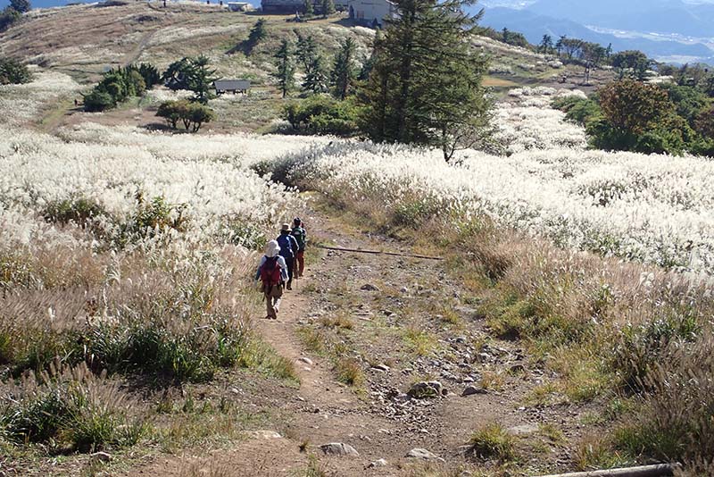 8.のんびり下山