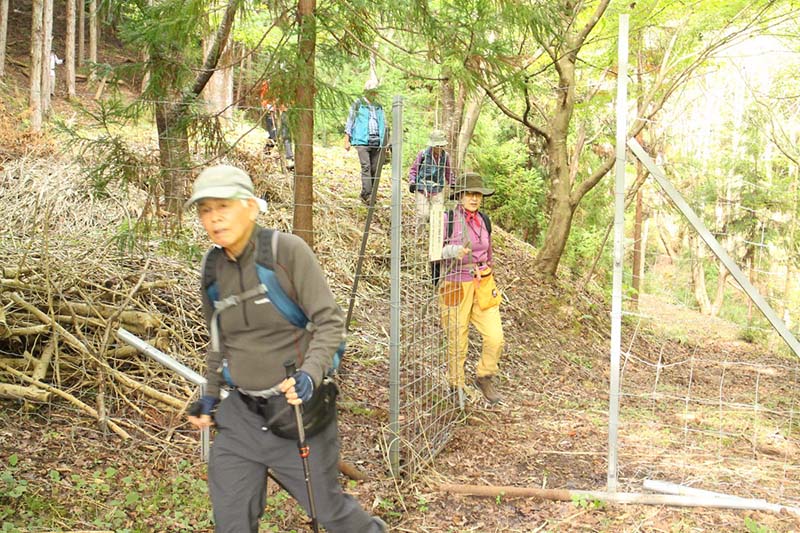 5.南尾根を降りきる
