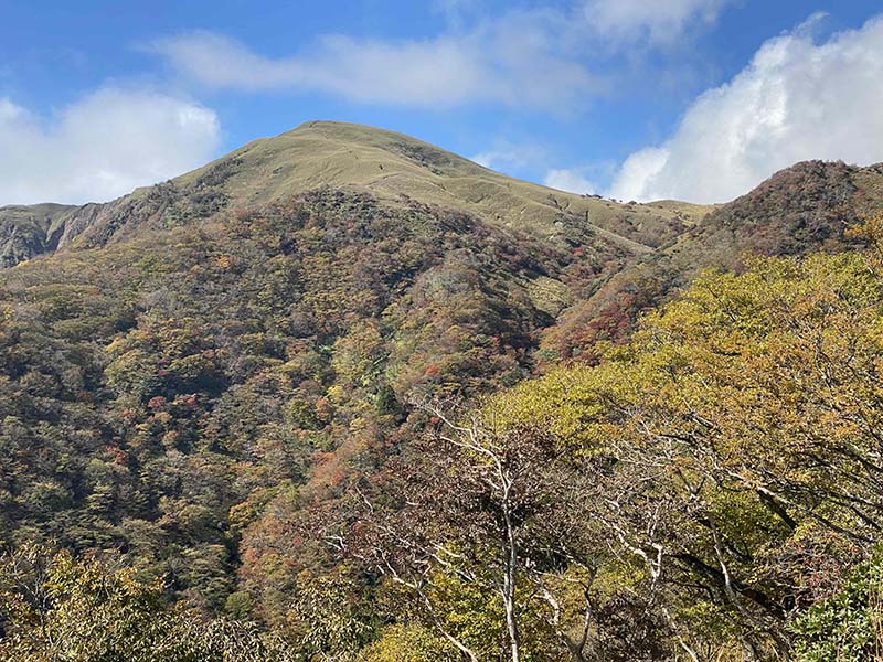 7.竜ヶ岳遠望１