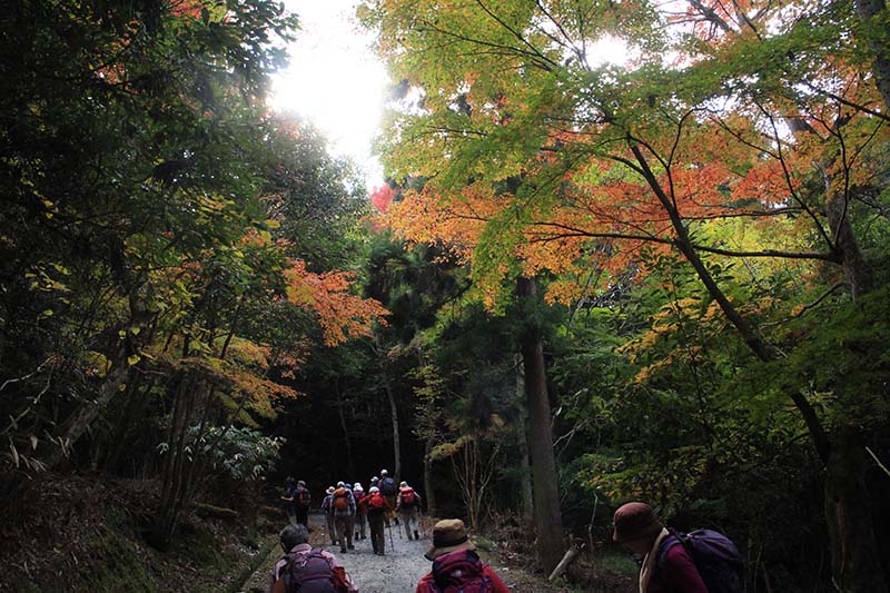 5.奈良奥山道路