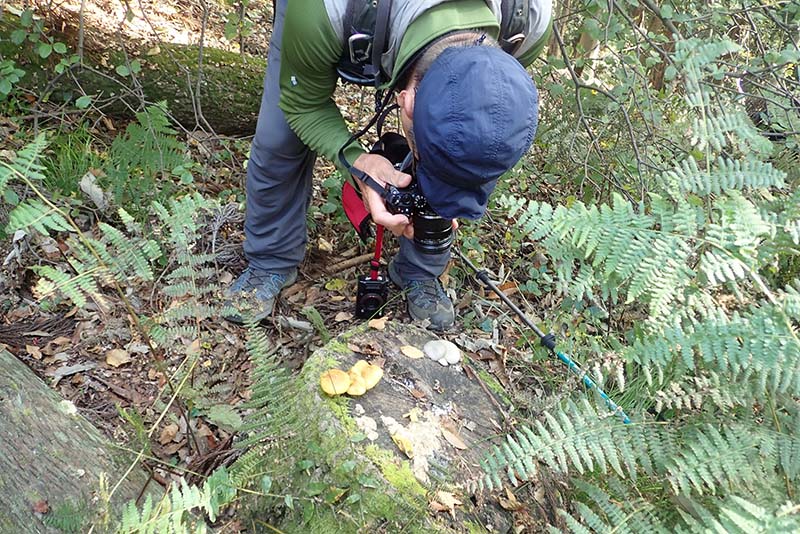 2.食べられる？