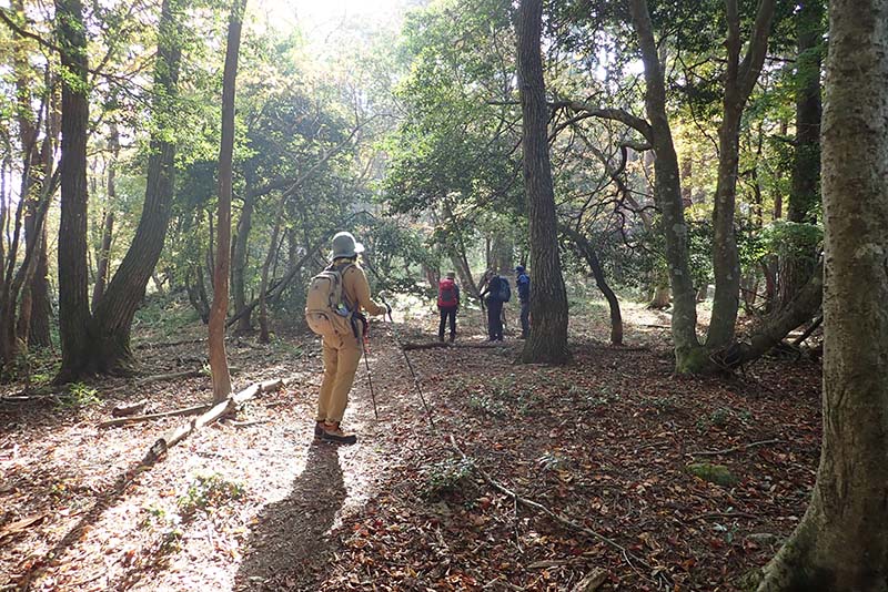 4.大平良山山頂間近