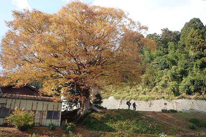 7.ゴールは近い