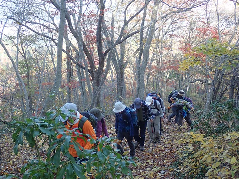 5.昨日の酒が・・・