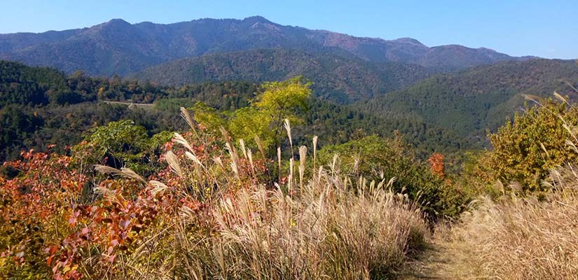 5.愛宕山の絶景
