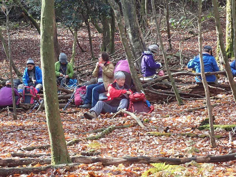 8.四ツ辻奥の広場で昼食