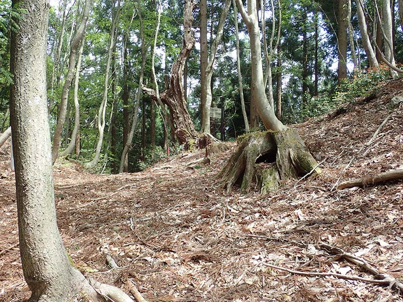 15.ダンノ峠に帰ってきました