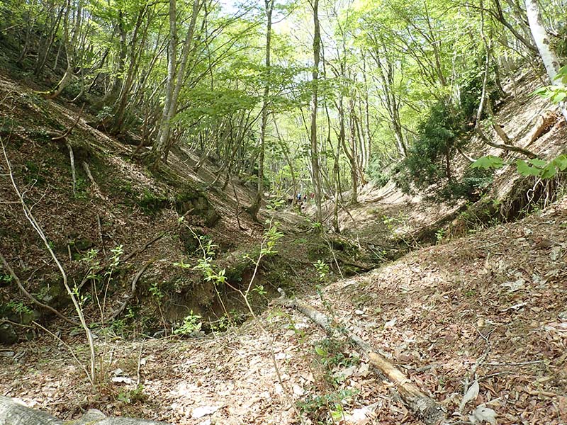 5.廃村八丁への道