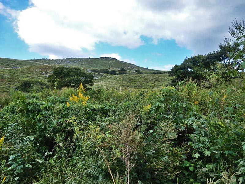 11.帰りの農道より太平山