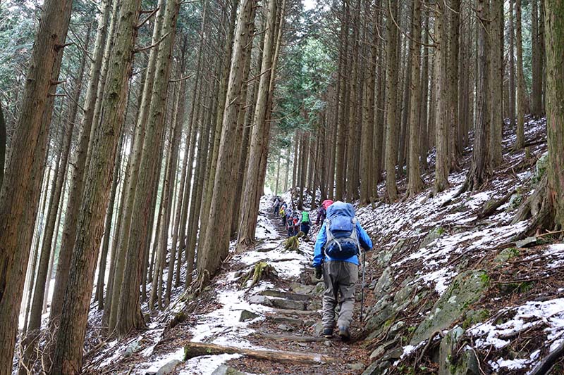 3.木立の中を歩く