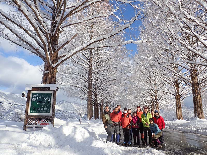 1.メタセコイヤの並木