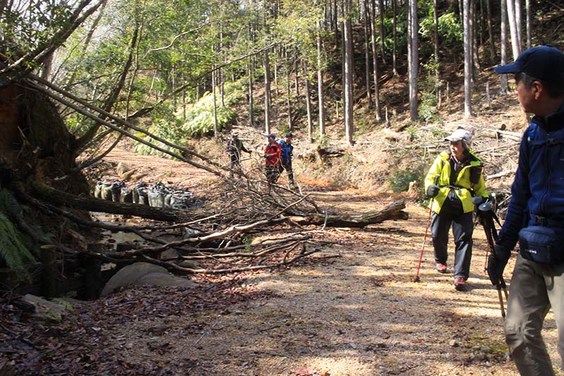 10.最後の林道をゆっくりと歩く