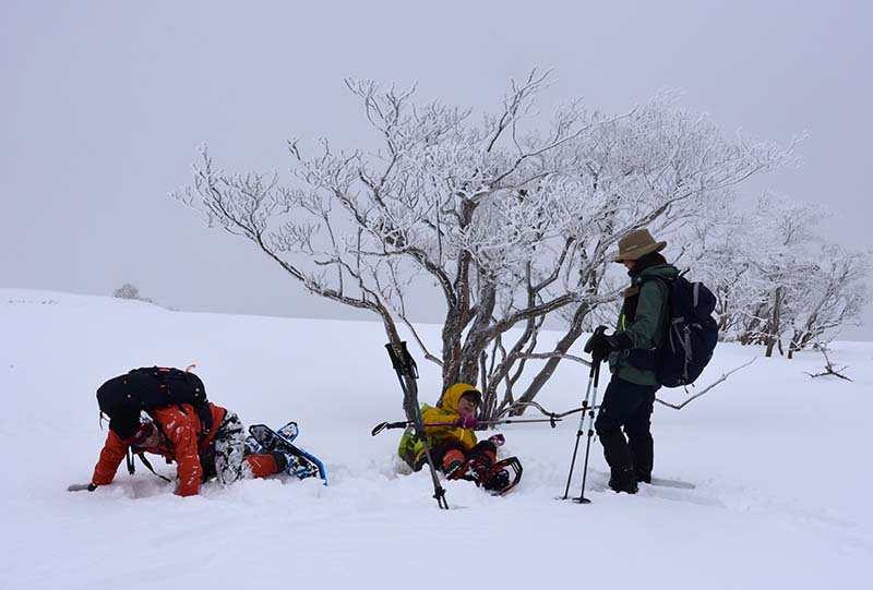 2.スノーシューが絡まり転倒