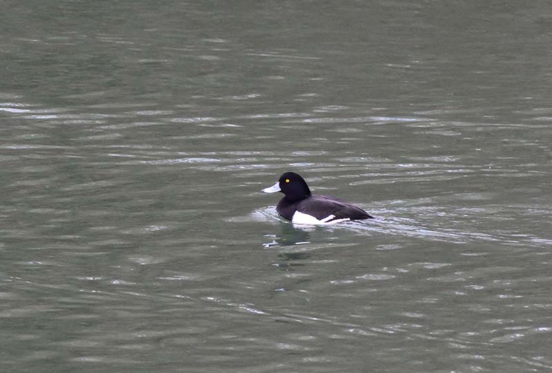 9.怖い目せんといて