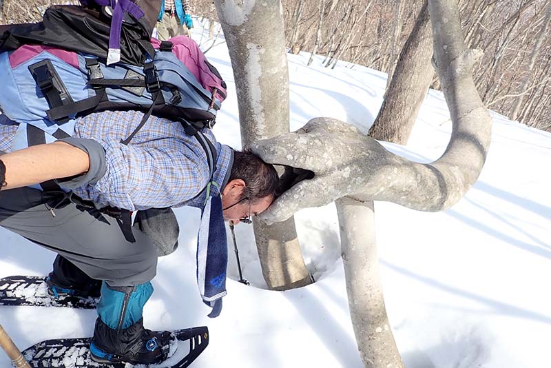 4.お仕置きだ、噛んでやる