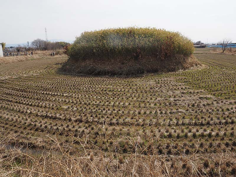 5.三宅古墳群寺の前古墳、田の中