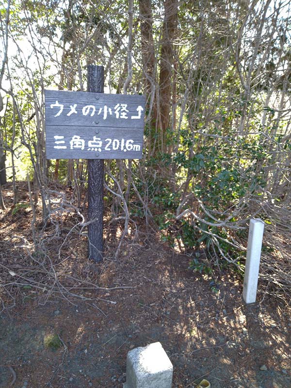 5.山頂より低い三角点