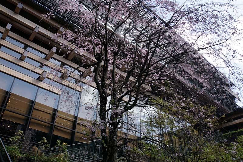 8.新風館　エースホテル