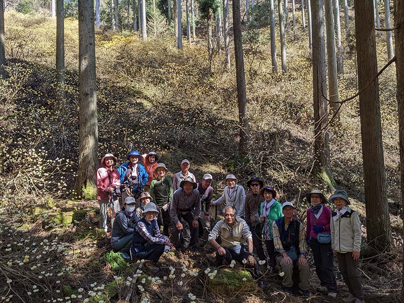 8.ミツマタに囲まれて