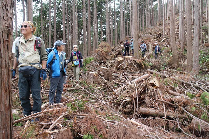 10.下りの支尾根上部は荒れて歩き難かった