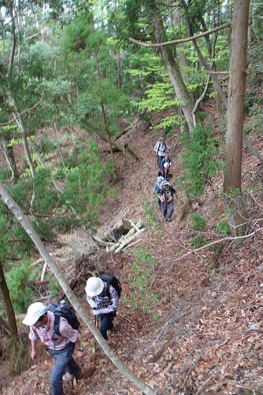 4.九十九折れの山道をひたすら上る