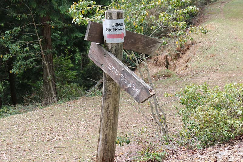 6.広く整備された尾根道に出る