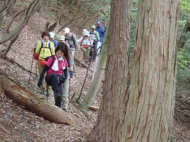 4.大原ー天ヶ岳本道。とっても楽チン
