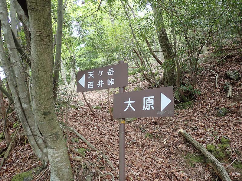 5.ここから近道