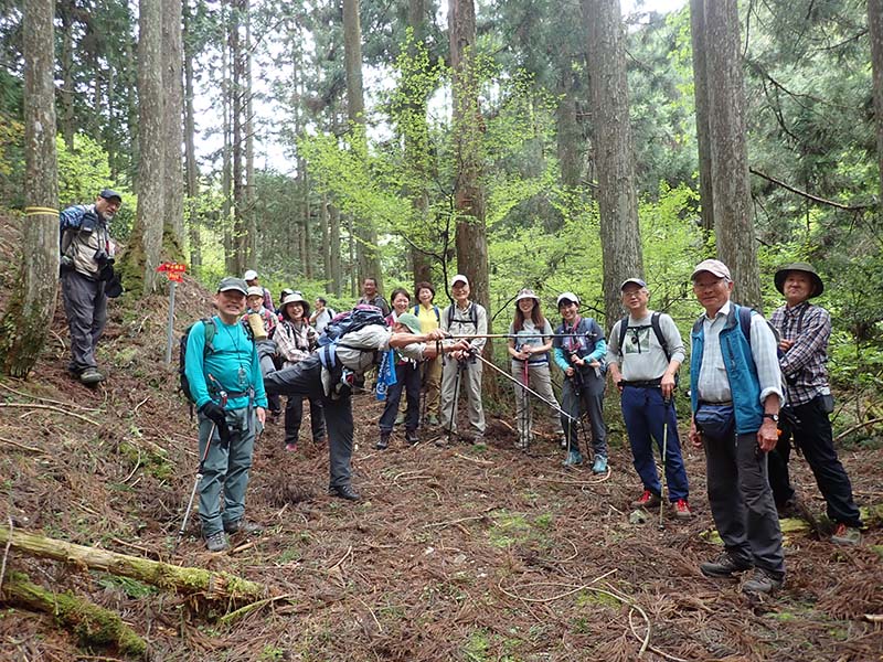 9.林道に下りてきました。あと40分