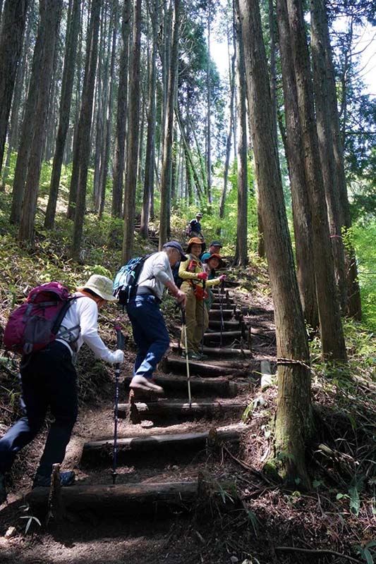 1.しょっぱしから急登