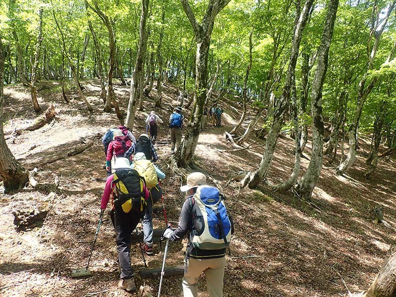 2.もうすぐ尾根