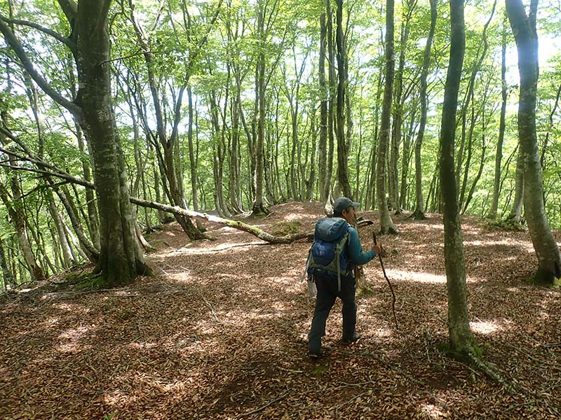 7.ホンマにこっち？