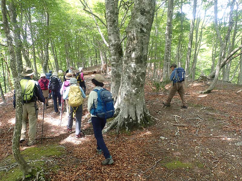 8.さわやか、さわやか。